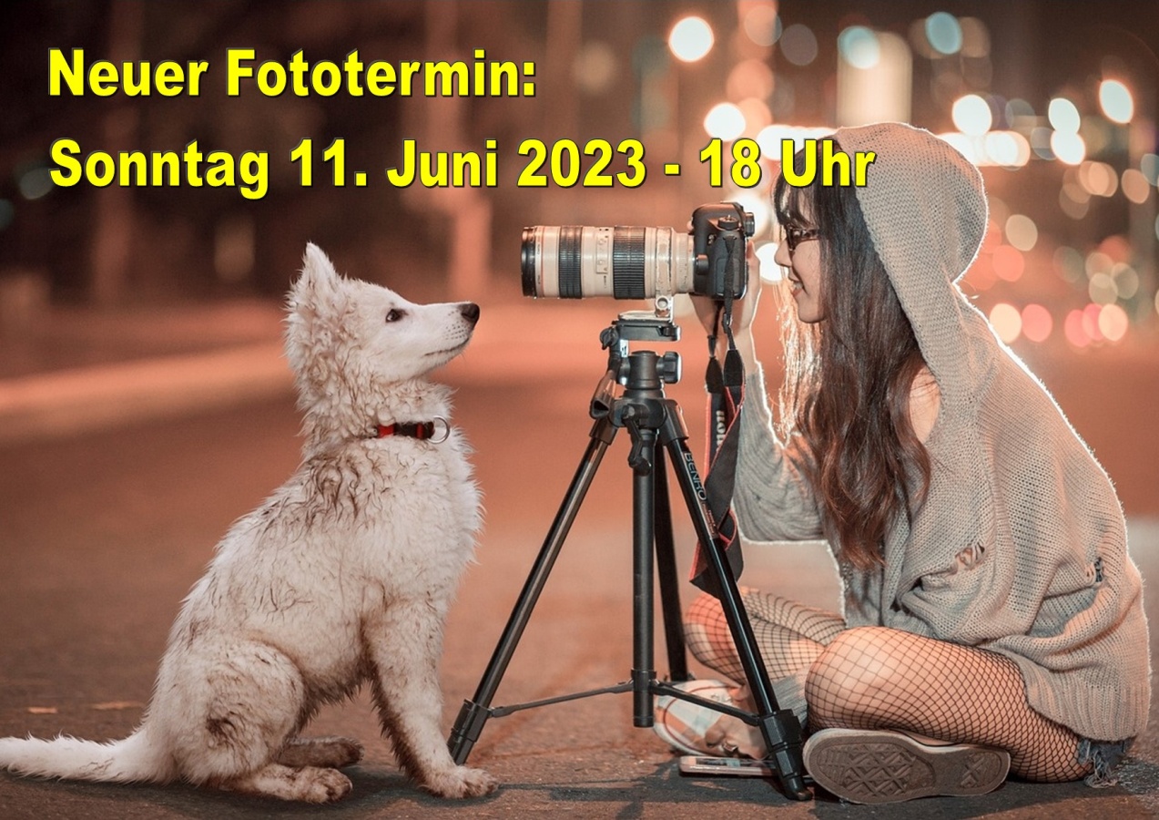 [11/06/2023]Fototermin für Hallenumbau: Sonntag, den 11. Juni 2023