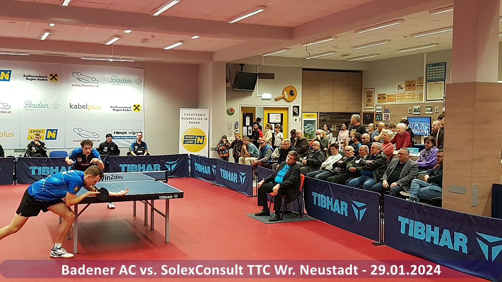Badener AC Tischtennis - SolexConsult Wiener Neustadt - Saison 2023/2024
